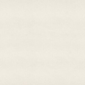 Caesarstone 9141 Ice Snow